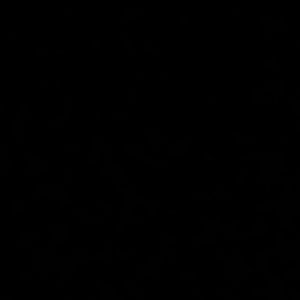 Meet your Posher, Micah